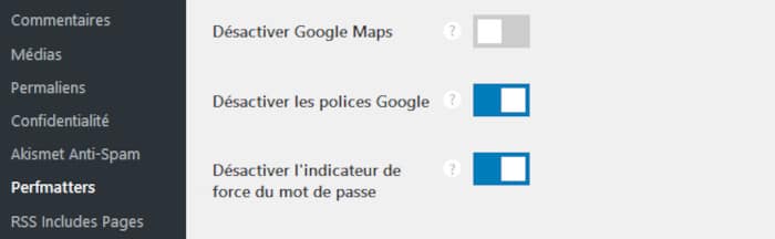 Option de perfmatters pour désactiver les polices de Google