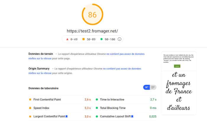 PageSpeed Insights : exemples de résultats