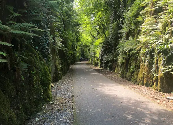 Voie verte de Warterford à Dungarvan