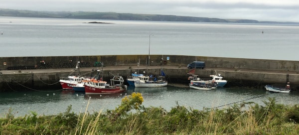 Vue sur la baie de Dungarvan