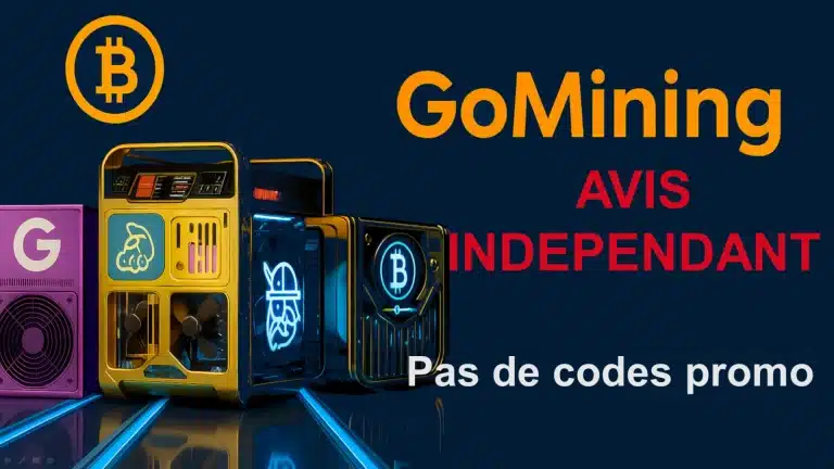 Avis GoMining